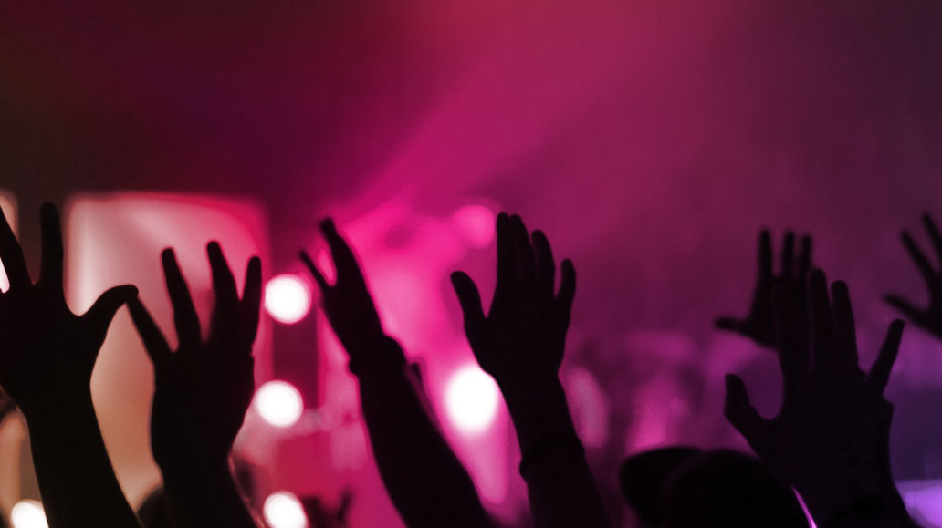 Silhouettes of the crowd's raised hands during a Bees Knees performance.